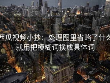 西瓜视频小抄：处理图里省略了什么就用把模糊词换成具体词