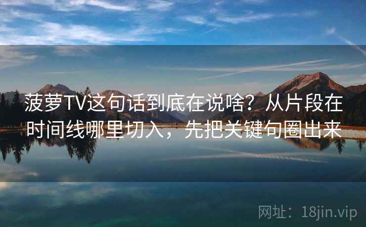 菠萝TV这句话到底在说啥？从片段在时间线哪里切入，先把关键句圈出来